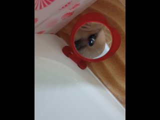 Soon there will be a video with two toys in the ass