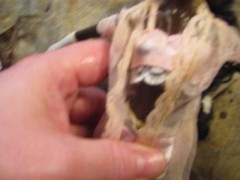 FUCVph2 Chocolate Mocha "In Lite Pink" just the cumshot version