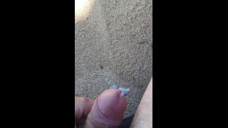 Una buena paja en la playa
