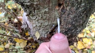 Ejaculation sur le sperme du cruiser sur l’arbre