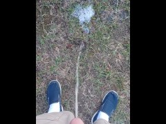 Backyard Pissing - Screenshot 13 of 16 - Suburbs
