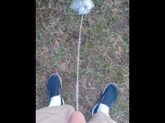Backyard Pissing - Screenshot 8 of 16 - Suburbs