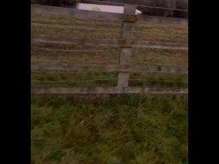 Riskiest walk part 2