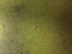 GROOBYGIRLS: Crystal Thayer - Superstar - Screenshot 1 of 16 - Groobygirls