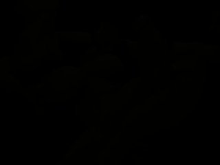 Futanari version of Alcina Dimitrescu Best Teasers compilation  Check out the Artist's work