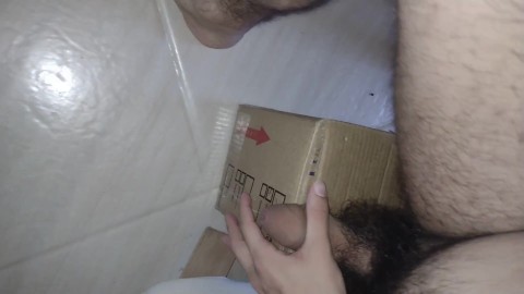 Humping a paper box and peeing in a bag o cheaps 