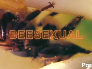 New Video Title 2022 11 10 06:30:38