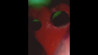moiprathub I masturbate