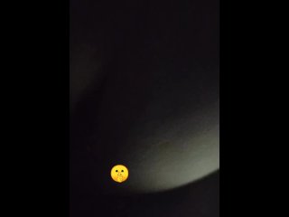 vertical video, backshots, female orgasm, creampie