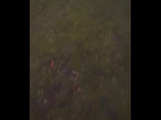 Floppy cock and balls bouncing naked barefoot walk in forest