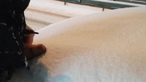 öffentlicher spaziergang im winter großen schwanz in jungfräulichen schnee tauchen