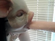 Preview 2 of Piggy TRAINS HER THROAT with a DILDO