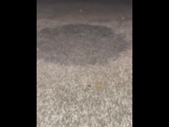 Pissing through a bikini .. carpet pee