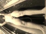Fuerte flexionamiento muscular en la ducha con Andy Noviembre 2022 Gym Show Piernas Desnudas