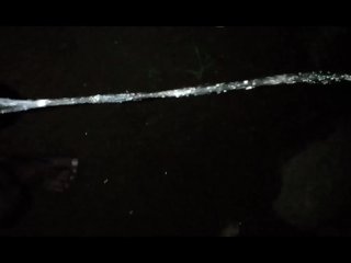 I Pee in the Dark Forest at 12.00 a.m