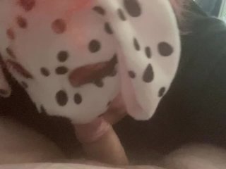 cosplay, amateur blowjob, pet play, exclusive