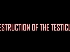 Testicles experience real hell / Busting - Screenshot 16 of 16 - Ballbusting