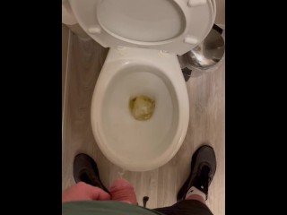 Toilet Pis