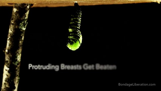 Spanking Protruding Breasts - Elise Graves