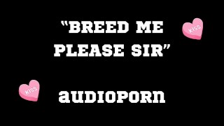 BREED ME SIR Audioporn On Repeat