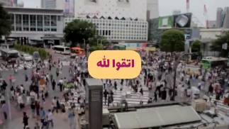 فيديو اكثر من رائع  شاهده