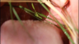 Сексуальный рот, язык и горло дразнят травинкой