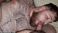Hairy beard bear and cub
