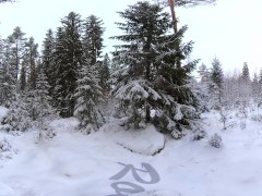 Video Sex in the winter forest while the snow is falling - RosenlundX - VR 360 - 5,7k 30fps