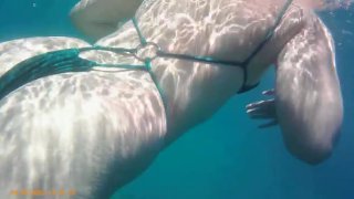 Public grabbing and fingering in the sea (no sound)