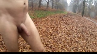 Naked en el bosque con buttplug bajo la lluvia