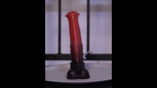 Cute femboy tried to ride a horse dildo for the first time