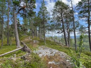 The Watchtower - HD 60fps