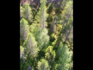 The Watchtower - Vertical HD 60fps