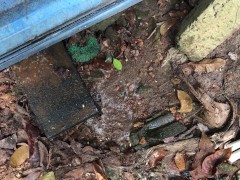 I Pee into the Mud ASMR (Episode 01)