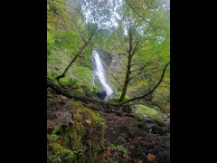 Hello Fall 🍁 - Screenshot 1 of 16 - Nature