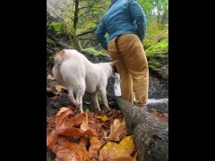 Hello Fall 🍁 - Screenshot 2 of 16 - Waterfall