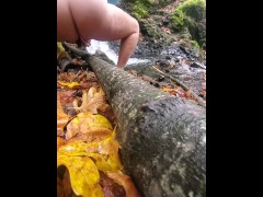 Hello Fall 🍁 - Screenshot 7 of 16 - Waterfall