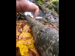 Hello Fall 🍁 - Screenshot 8 of 16 - Squirt