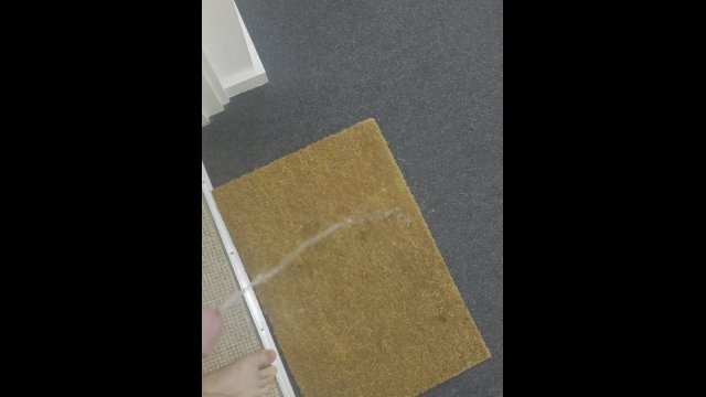 Hallway pee