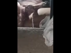 Pretty tranny boy fucks himself with vibrator and cums