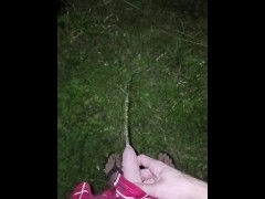 Sissy peeing outside - Screenshot 5 of 16 - Pissing