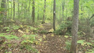 A fall hike on public trail