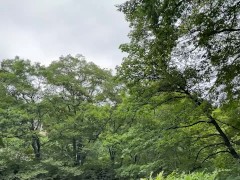 自然の中の露天温泉に入ったら開放的になっちゃった、開けっ広げな私ってエッチかな - Screenshot 10 of 16 - 温泉