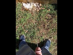 Backyard Pissing - Screenshot 10 of 16 - Suburbs