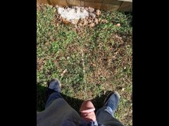Backyard Pissing