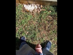 Backyard Pissing - Screenshot 13 of 16 - Suburbs