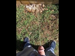 Backyard Pissing - Screenshot 4 of 16 - Suburbs