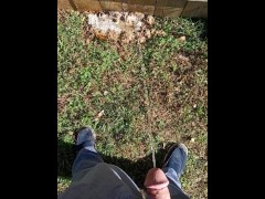 Backyard Pissing - Screenshot 6 of 16 - Pee