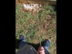 Backyard Pissing - Screenshot 7 of 16 - Suburbs