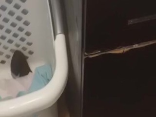 Смотреть этот CumShot